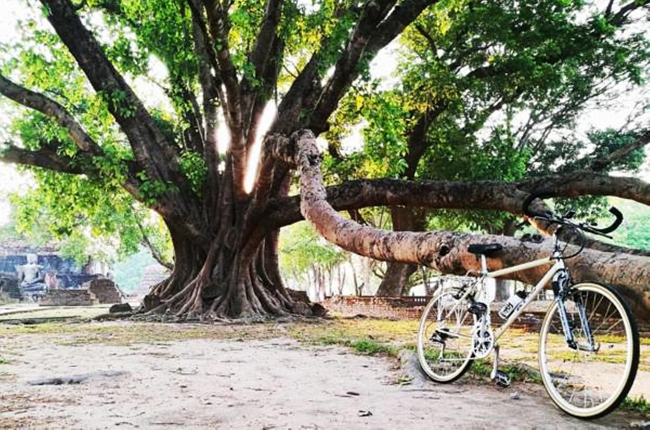 Sukhothai Cozy Hostel And Dorm エクステリア 写真